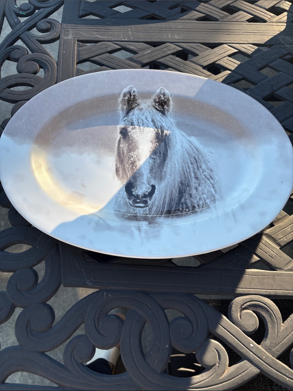Pier 1 White and Gray Horse Ceramic Platter